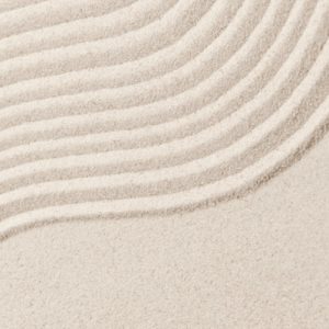 ARENA ZEN TERRARIO