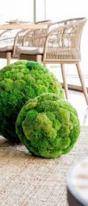 BOLA DE MUSGO