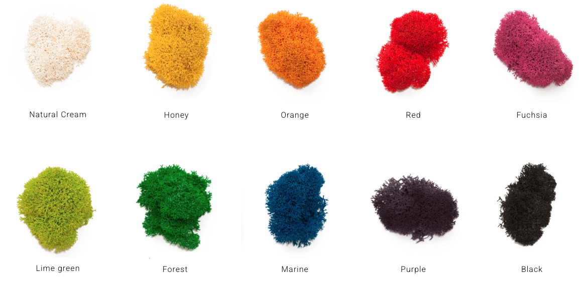 COLORES