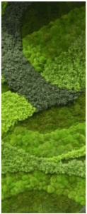 Captura-de-pantalla-2022-03-16-a-las-10.52.14-123x300