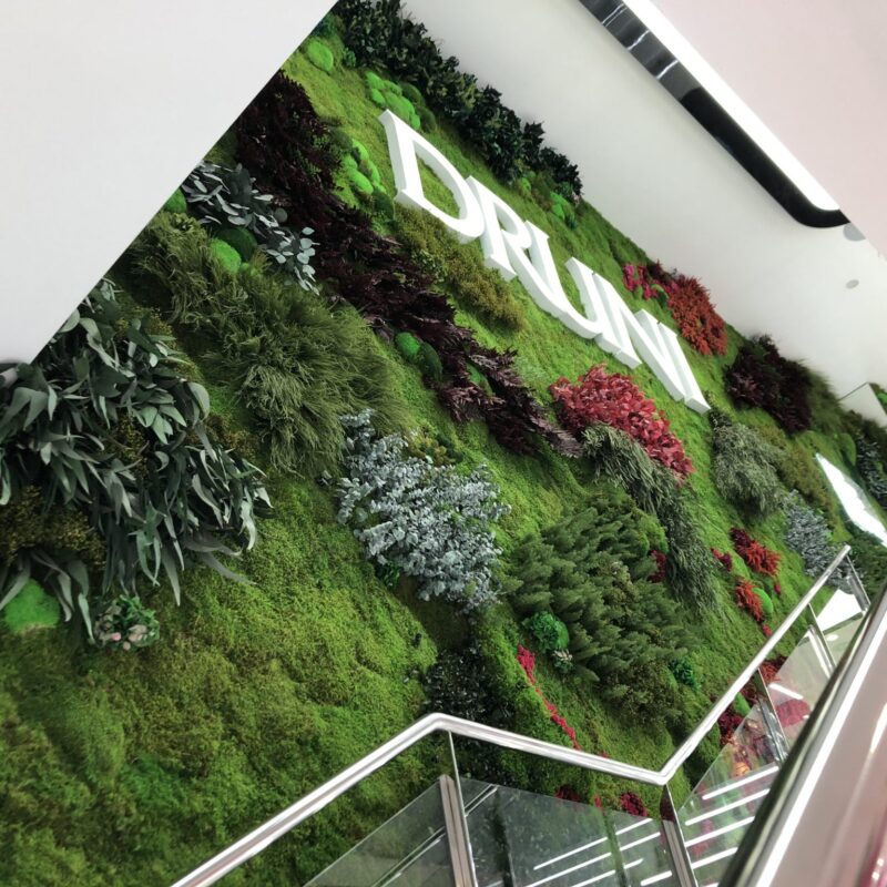 Jardin vertical saiho