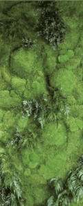 MOSS GARDEN