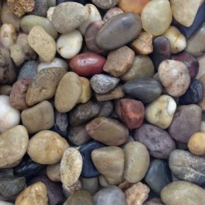 PIEDRA RIO TERRARIO
