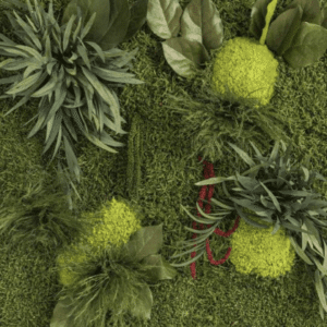 Vegetación preservada jardin medio