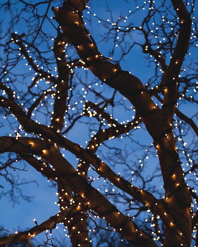 luces navideñas