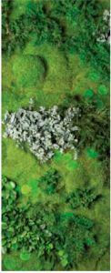 green_forest3-122x300
