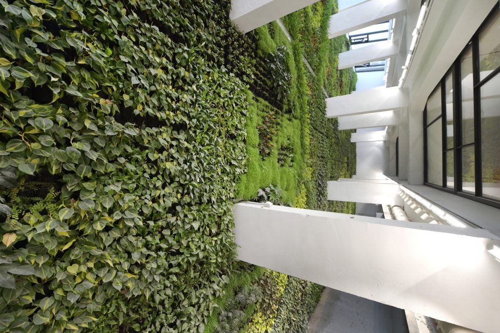 jardin vertical