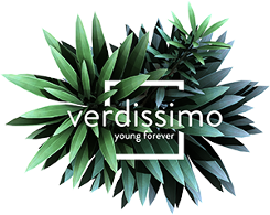 logo-verdissimo-iborra-web-design