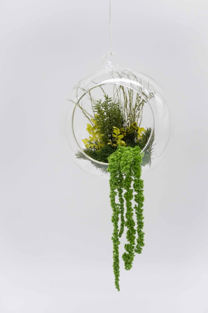 SUMMER Terrarium by Saihō SUMMER Terrarium by Saihō