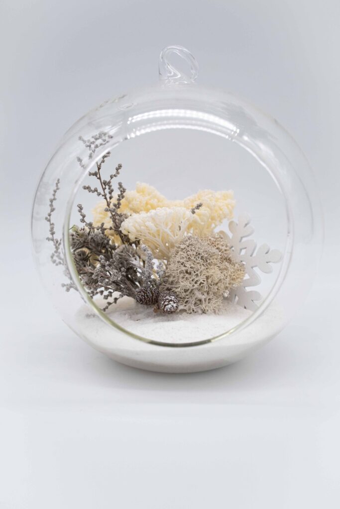 WINTER Terrarium by Saihō WINTER Terrarium by Saihō