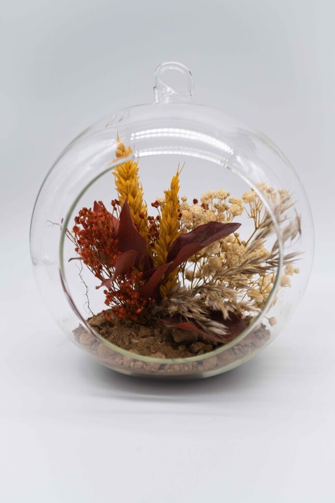 AUTUM Terrarium by Saihō AUTUM Terrarium by Saihō