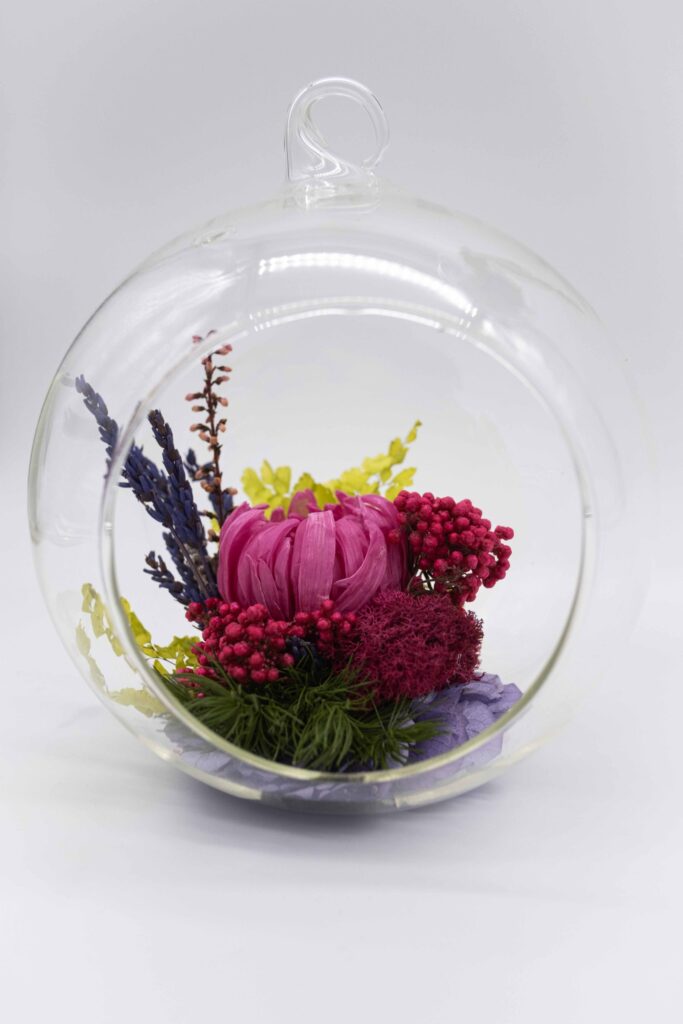 SPRING Terrarium by Saihō-scaled SPRING Terrarium by Saihō