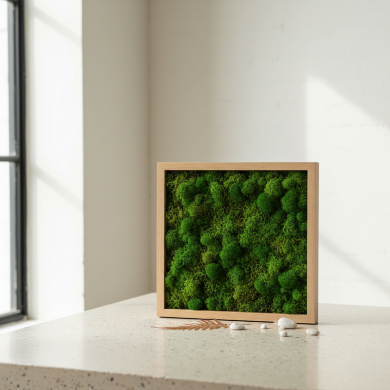 Cuadro musgo plano