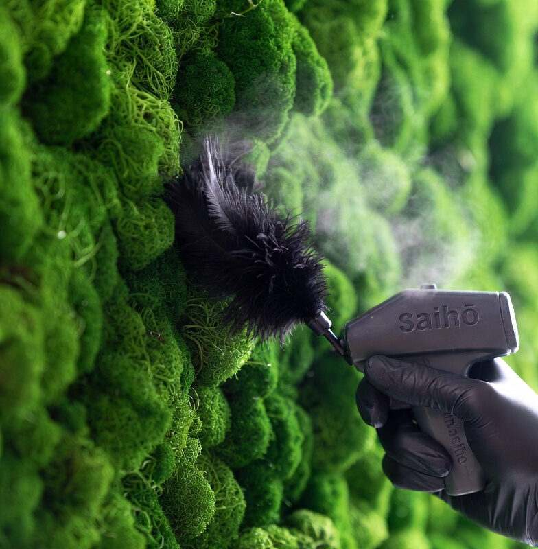 Primer plano de limpieza de musgo preservado utilizando herramientas de aire seco y plumeros naturales, siguiendo el protocolo técnico de mantenimiento de Saihō.